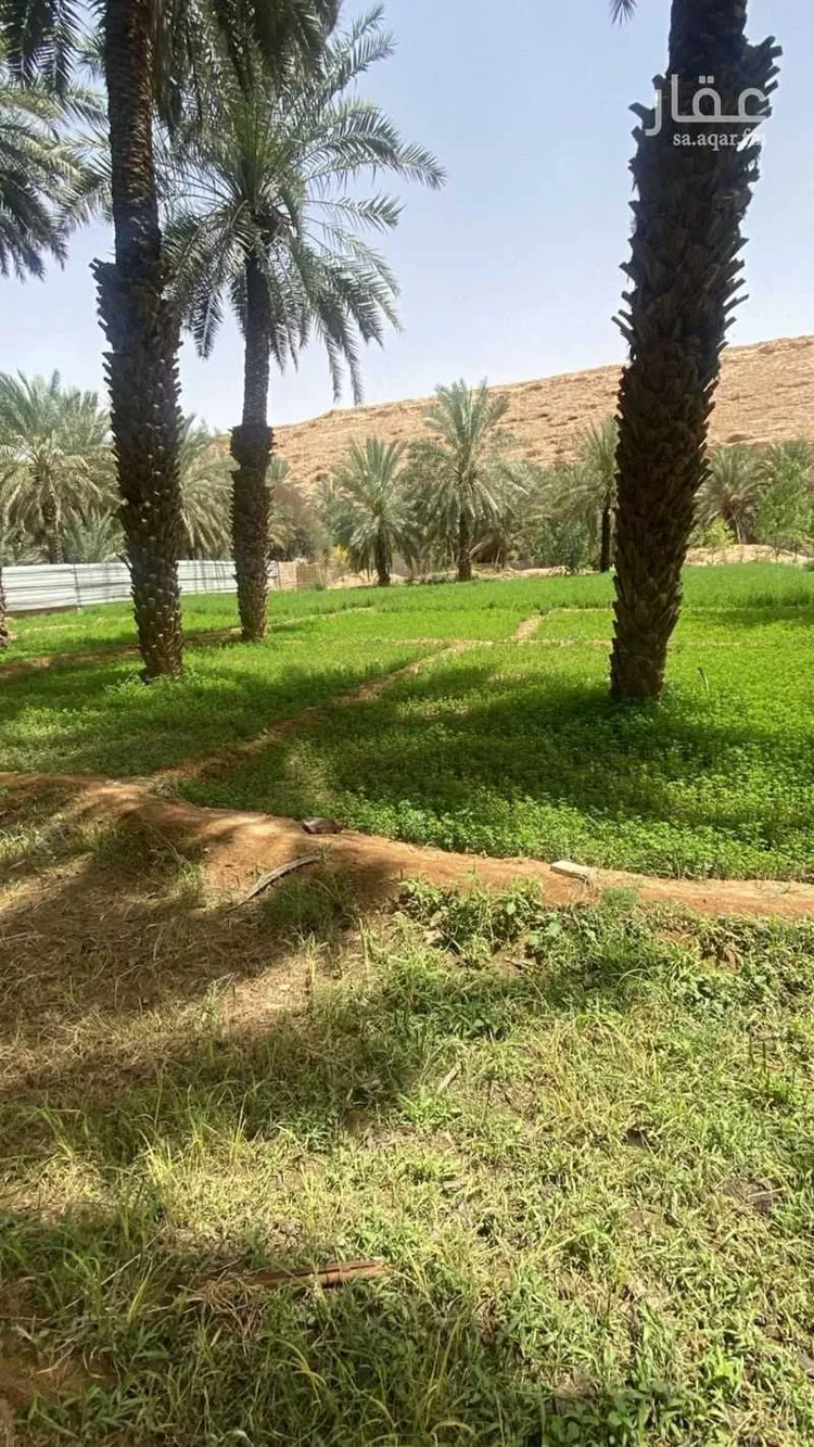 مزرعة للبيع في حي عريض, مدينة الرياض, منطقة الرياض صورة 3