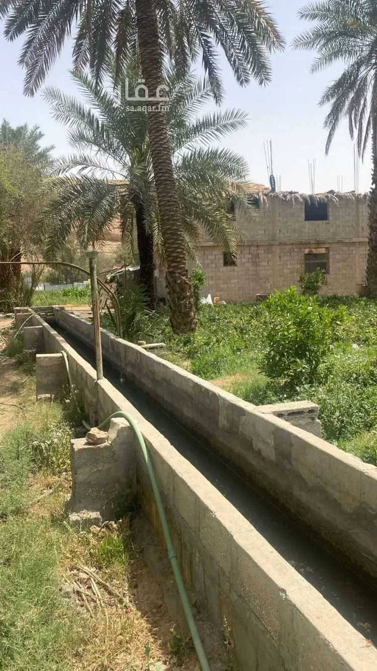 مزرعة للبيع في حي عريض, مدينة الرياض, منطقة الرياض 8