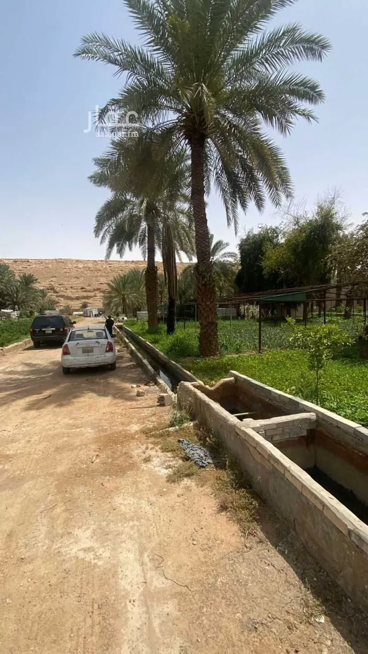مزرعة للبيع في حي عريض, مدينة الرياض, منطقة الرياض