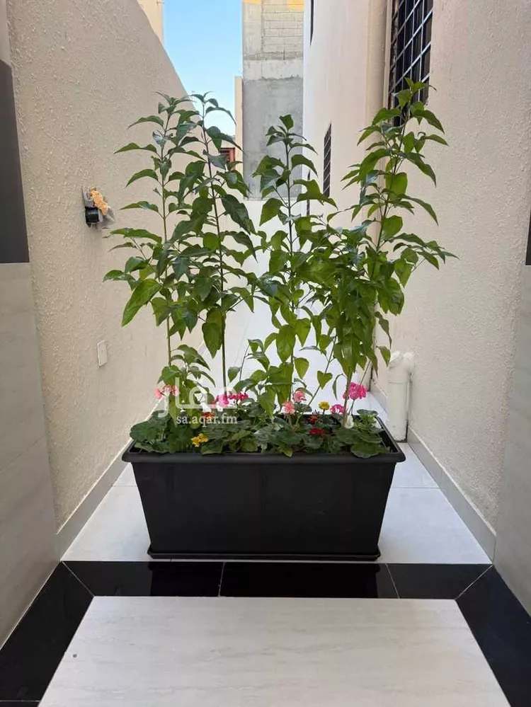 عمارة للإيجار في شارع طريق الامير عبدالعزيز بن مساعد, حي بدنة, مدينة عرعر, منطقة الحدود الشماليه صورة 3