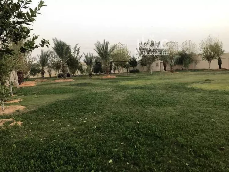 مزرعة للبيع في شارع البكيريه 884, مدينة امهات الذيابه, منطقة القصيم صورة 4