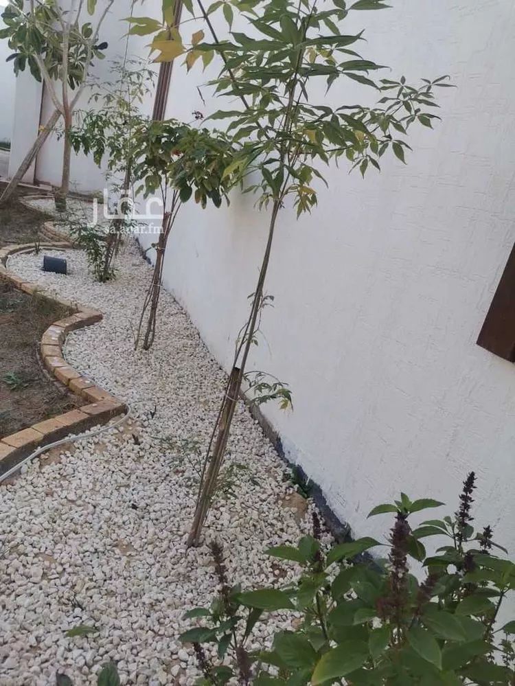 أرض للبيع في شارع العام, حي العفجه, مدينة الخرج, منطقة الرياض صورة 5