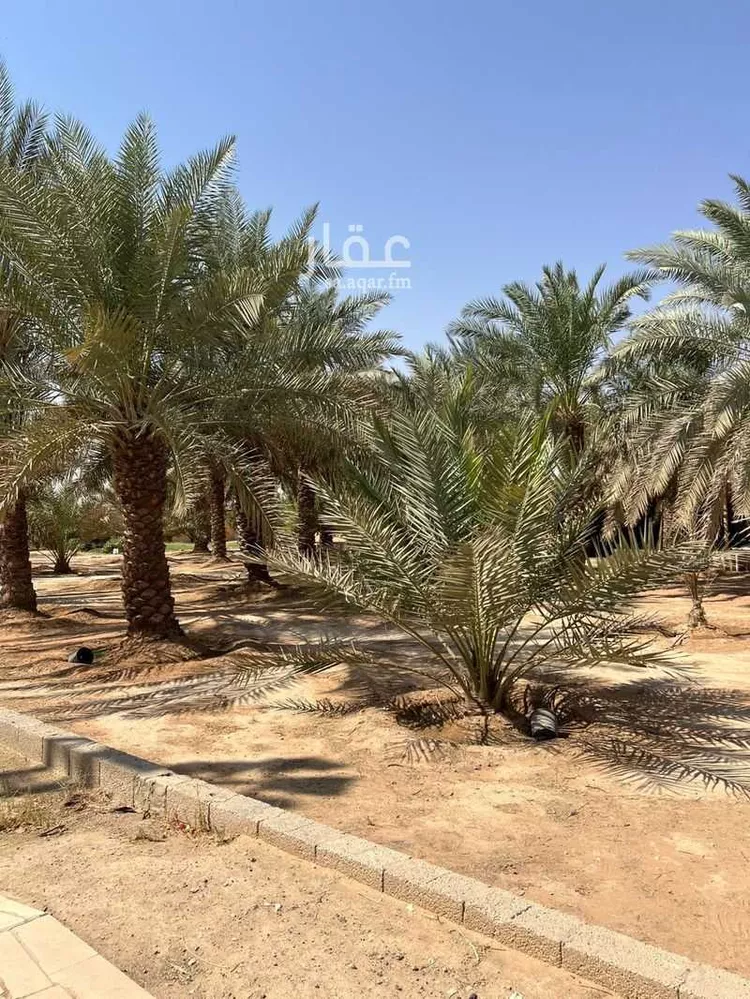 أرض للبيع في شارع الجابري, حي العفجه, مدينة الخرج, منطقة الرياض صورة 4