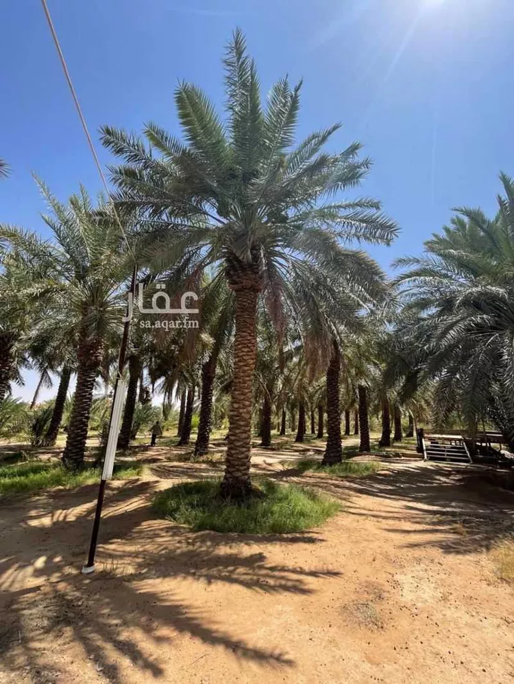 مزرعة للبيع في شارع الحسى 130, حي الحسى, مدينة الحسى, منطقة الرياض صورة 2