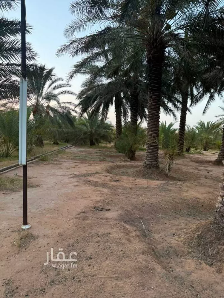 مزرعة للبيع في شارع الحسى 136, حي الحسى, مدينة الحسى, منطقة الرياض 15