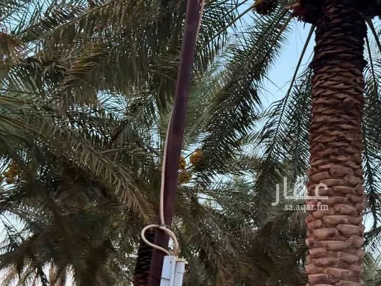 مزرعة للبيع في شارع الحسى 136, حي الحسى, مدينة الحسى, منطقة الرياض 17