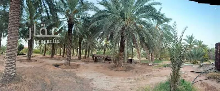 مزرعة للبيع في شارع الحسى 136, حي الحسى, مدينة الحسى, منطقة الرياض 18