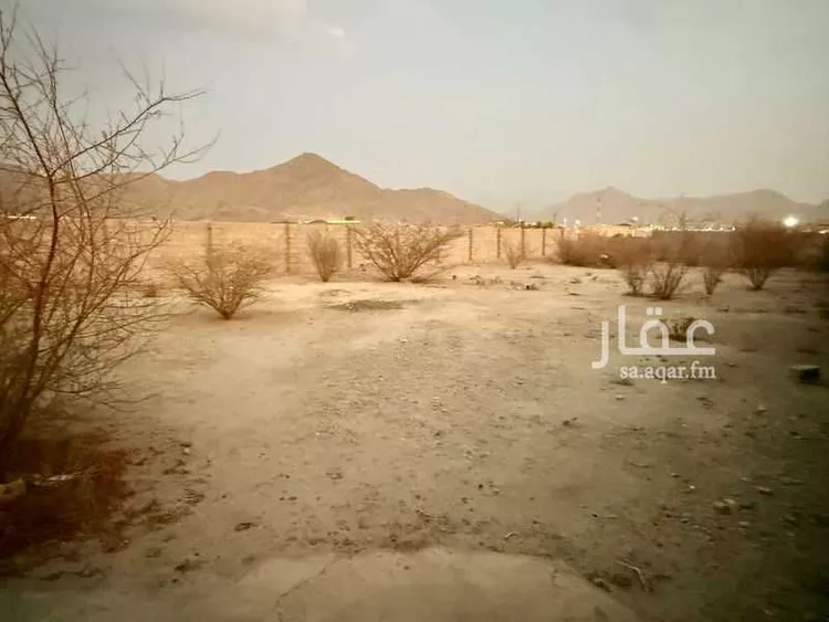 أرض للبيع في شارع قريه سرحان اللحياني 260, حي قريه سرحان اللحياني, مدينة قريه سرحان اللحياني, منطقة مكة المكرمة صورة 3