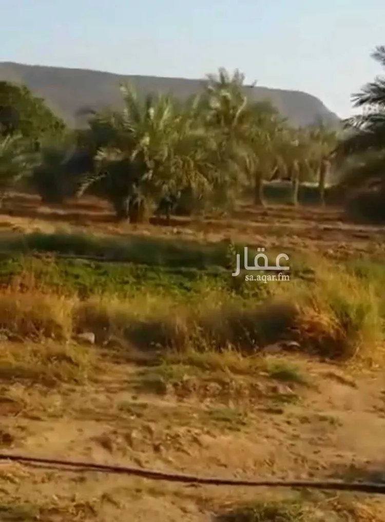 مزرعة للبيع في شارع خسلف 5307, مدينة الحجر, منطقة مكة المكرمة صورة 2