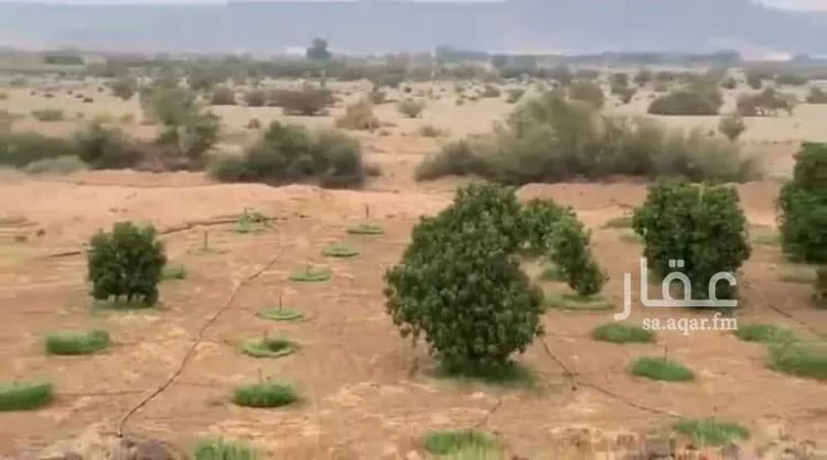 مزرعة للبيع في شارع خسلف 5307, مدينة الحجر, منطقة مكة المكرمة صورة 3