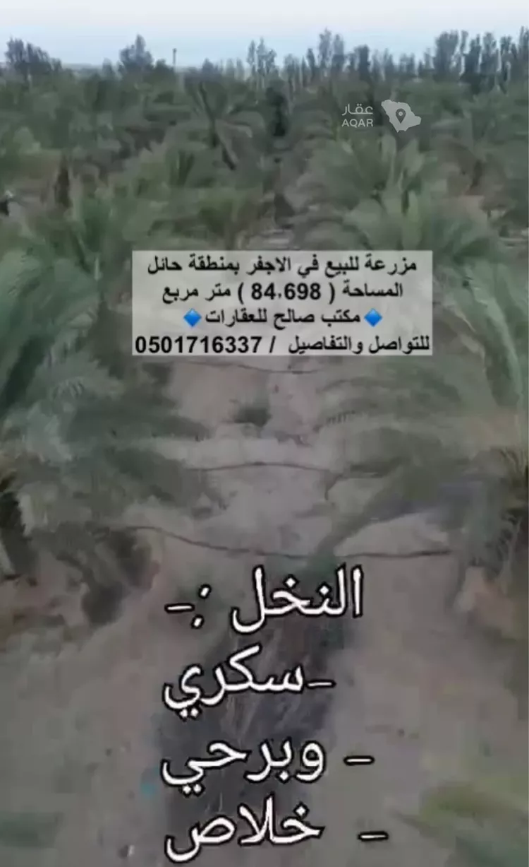 مزرعة للبيع في مدينة الأجفر, منطقة حائل صورة 2