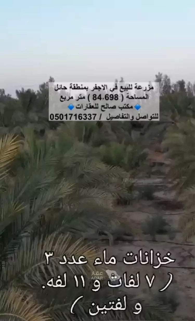 مزرعة للبيع في مدينة الأجفر, منطقة حائل صورة 5