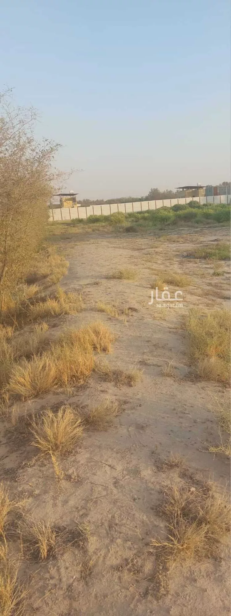 مزرعة للبيع في شارع 7440, حي ثاج, مدينة ثاج, المنطقة الشرقية صورة 3