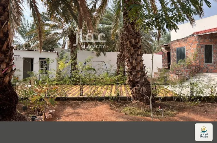 فيلا للبيع في شارع عبدالصمد بن الفضل, حي البركة, مدينة المدينه المنوره, منطقة المدينة المنورة صورة 2