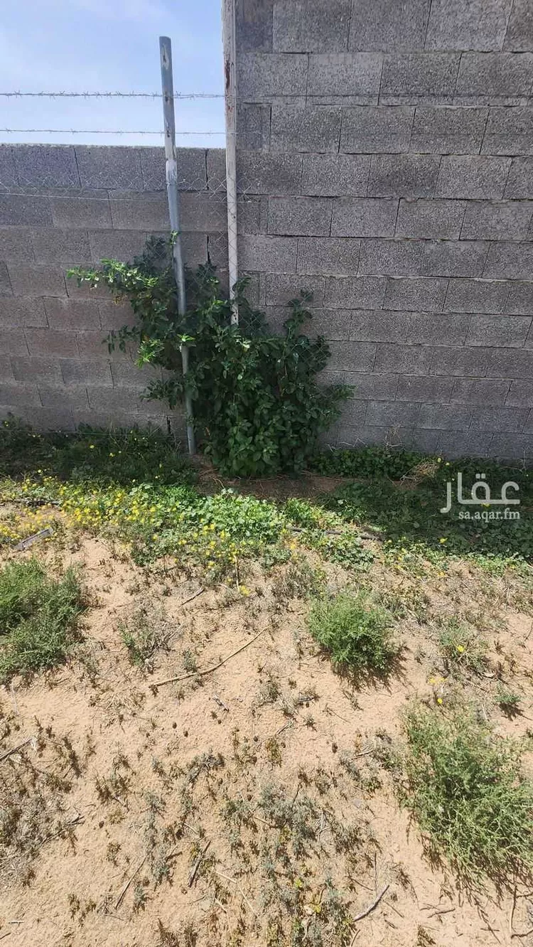 Farm for Sale in Al Bukayriyah Al Fahd