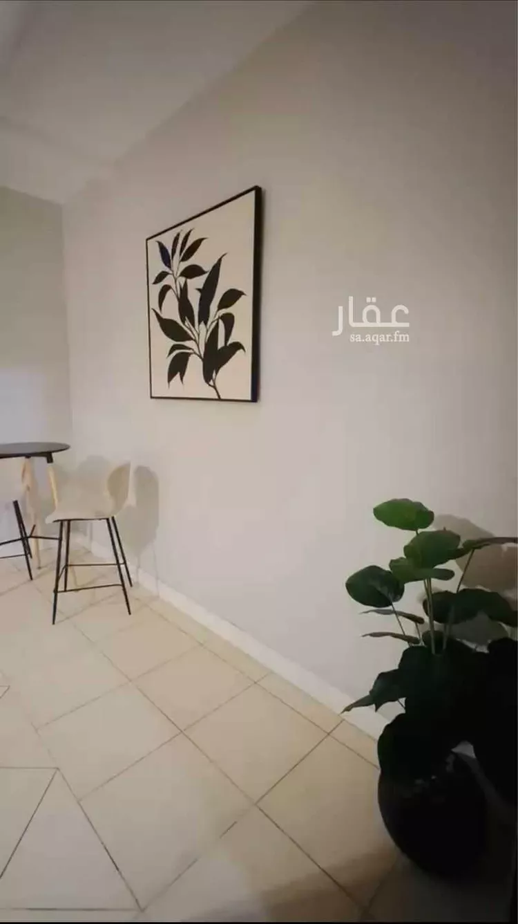 عمارة للإيجار في شارع عاصم ابن قيس, حي الربوة, مدينة جدة, منطقة مكة المكرمة صورة 2