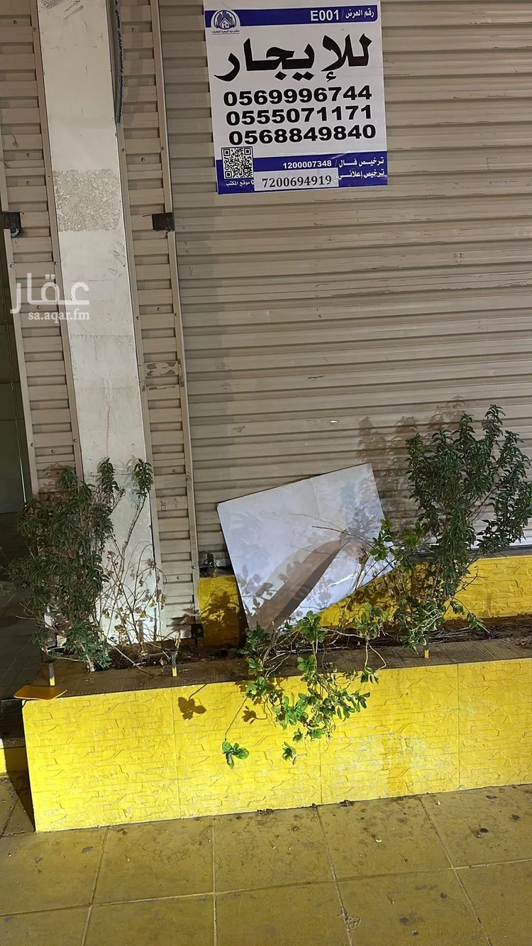 عمارة للإيجار في شارع عكرمة ابن ابي جهل, حي القصواء, مدينة المدينه المنوره, منطقة المدينة المنورة صورة 5