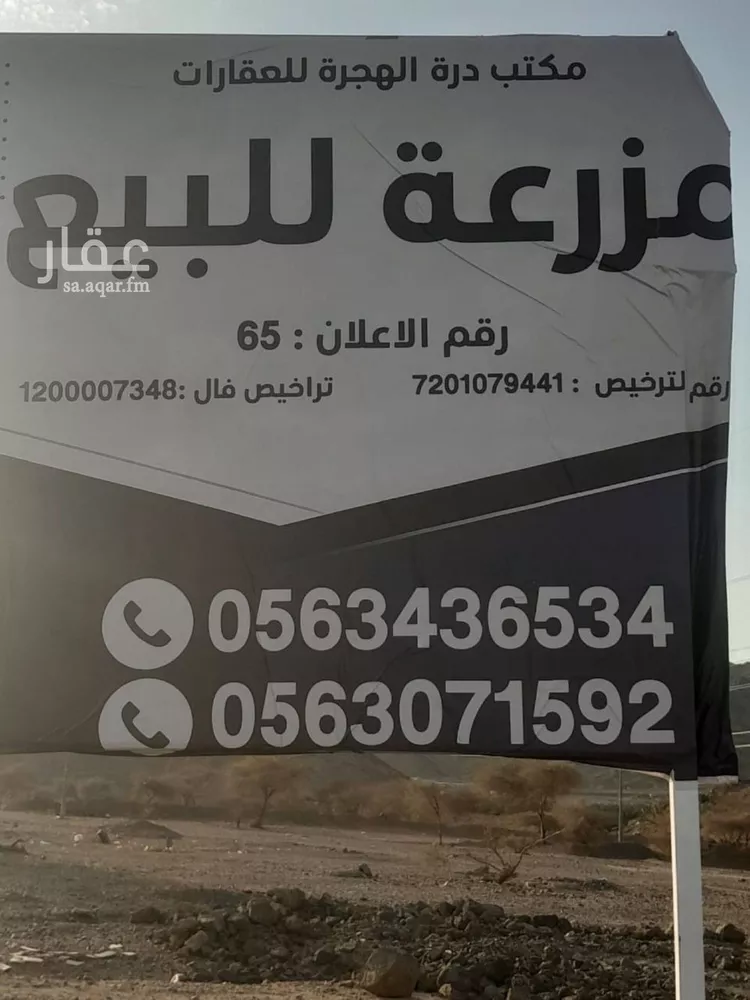 مزرعة للبيع في حي أبو مرخة, مدينة المدينة المنورة, منطقة المدينة المنورة صورة 3