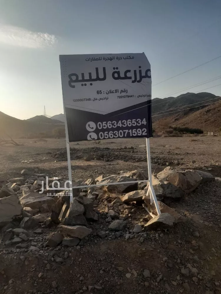مزرعة للبيع في حي أبو مرخة, مدينة المدينة المنورة, منطقة المدينة المنورة صورة 4