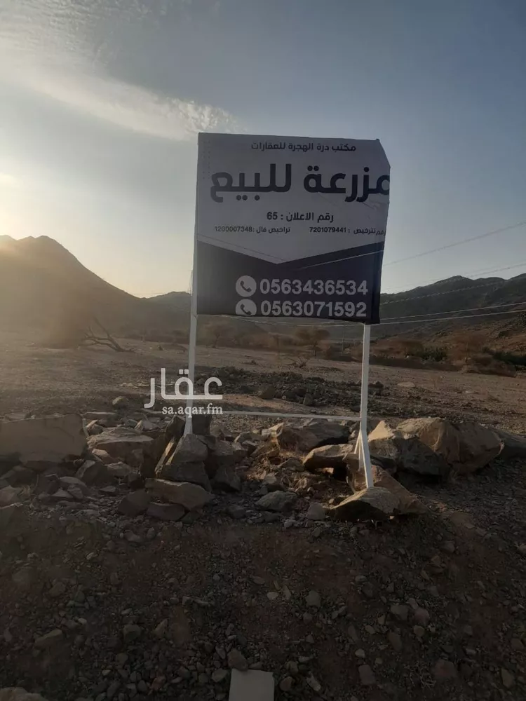 مزرعة للبيع في حي أبو مرخة, مدينة المدينة المنورة, منطقة المدينة المنورة صورة 2
