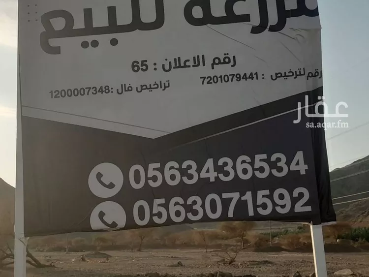 مزرعة للبيع في حي أبو مرخة, مدينة المدينة المنورة, منطقة المدينة المنورة