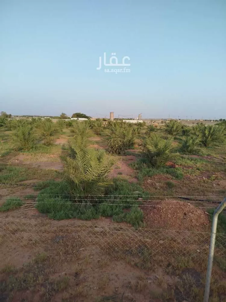 مزرعة للبيع في شارع شارع عمر بن أوس الثقفي, مدينة بريدة, منطقة القصيم صورة 4