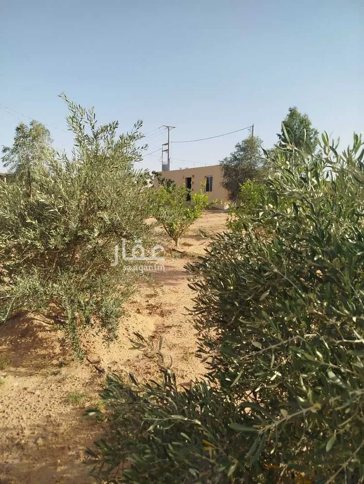 مزرعة للبيع في شارع شارع عمر بن أوس الثقفي, حي طيبة, مدينة رياض الخبراء, منطقة القصيم صورة 2
