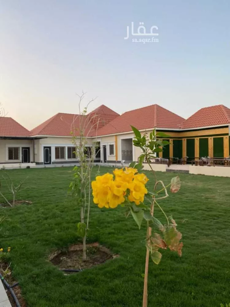 شاليه واستراحة للحجز في شارع مسعود بن عمير ، حي بنبان ، الرياض ، حريملاء