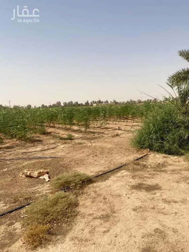 مزرعة للبيع في شارع بدون, حي المجد, مدينة الخرج, منطقة الرياض صورة 2