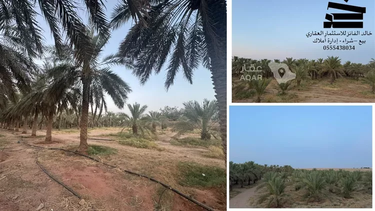 مزرعة للبيع في شارع طريق الرياض المدنية السريع , حي المجد, مدينة البكيرية, منطقة القصيم 5