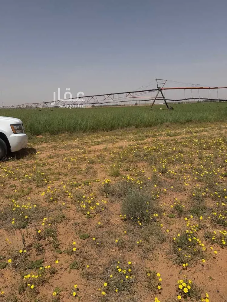 مزرعة للبيع في شارع غير مسمى, حي مزارع ابو غيل, مدينة مزارع ابو غيل, منطقة حائل