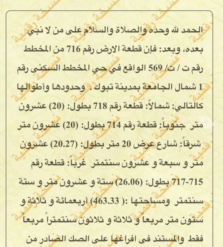 Land for Sale in Tabuk Housing of public security forces صورة 2