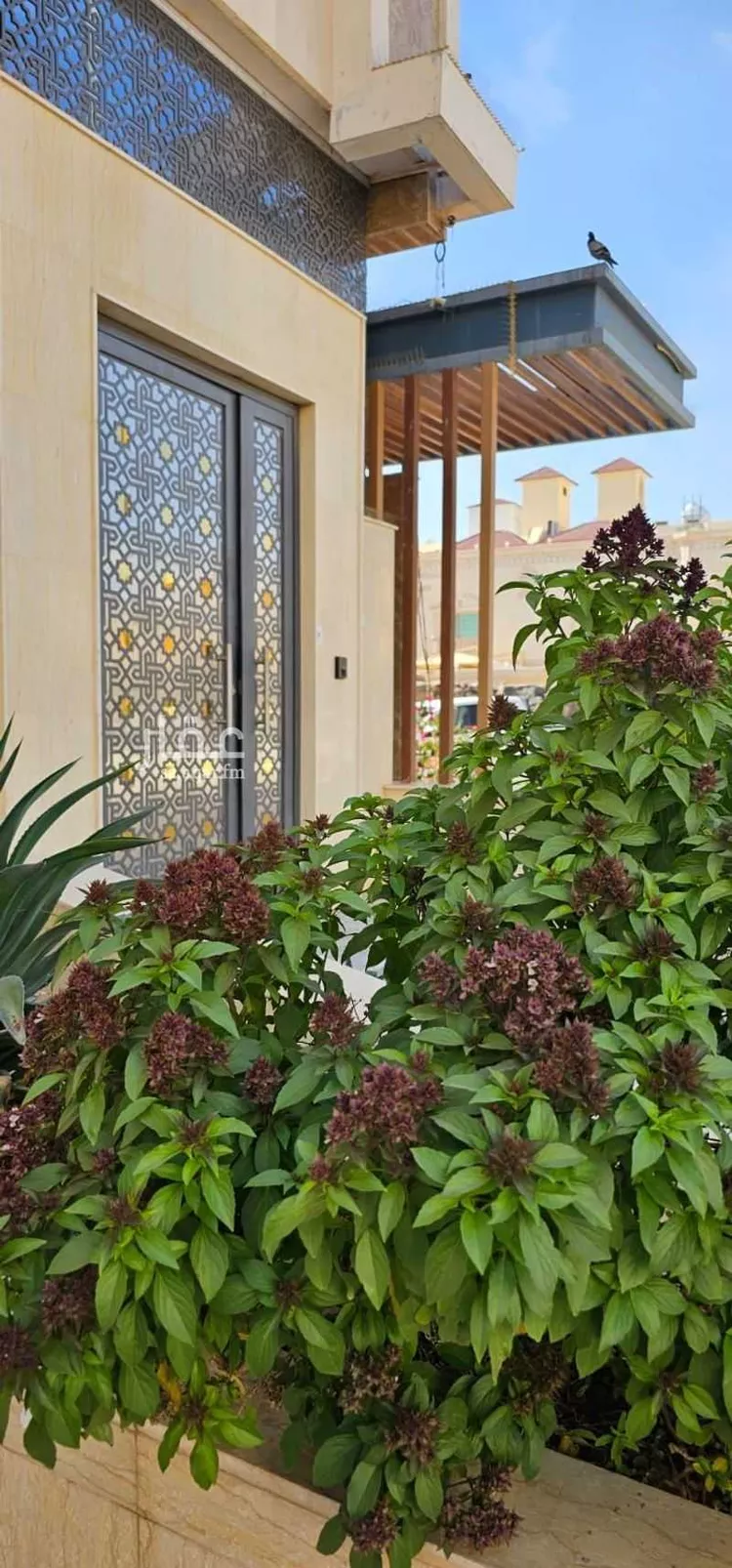 Apartment for Rent in Medina Shadhah