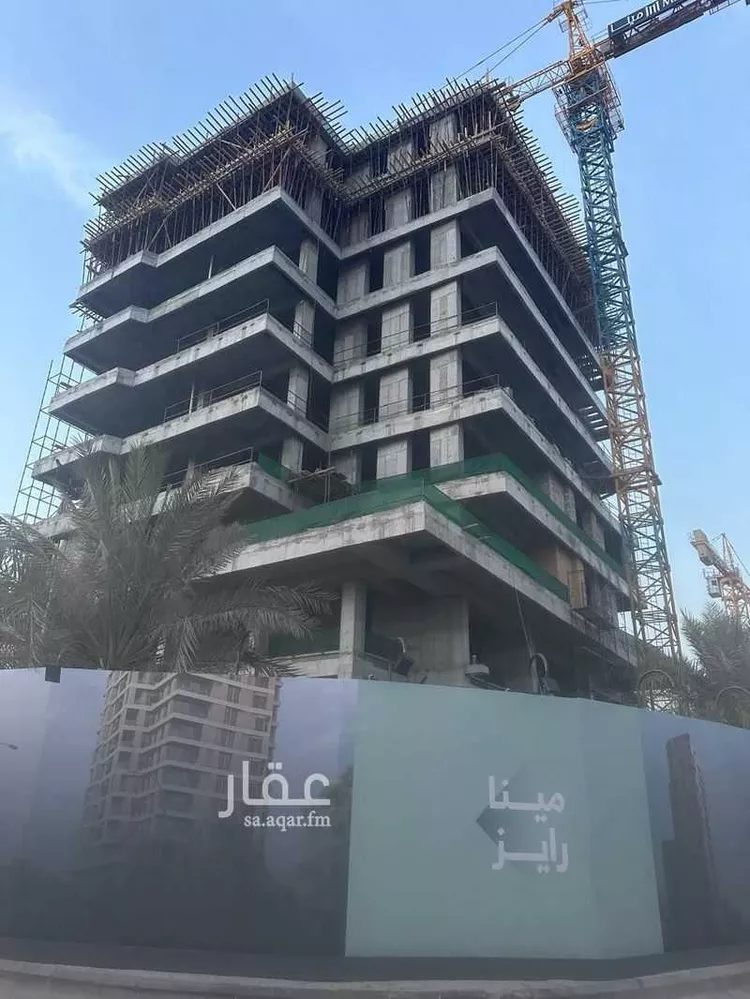 مينا رايز صورة 4