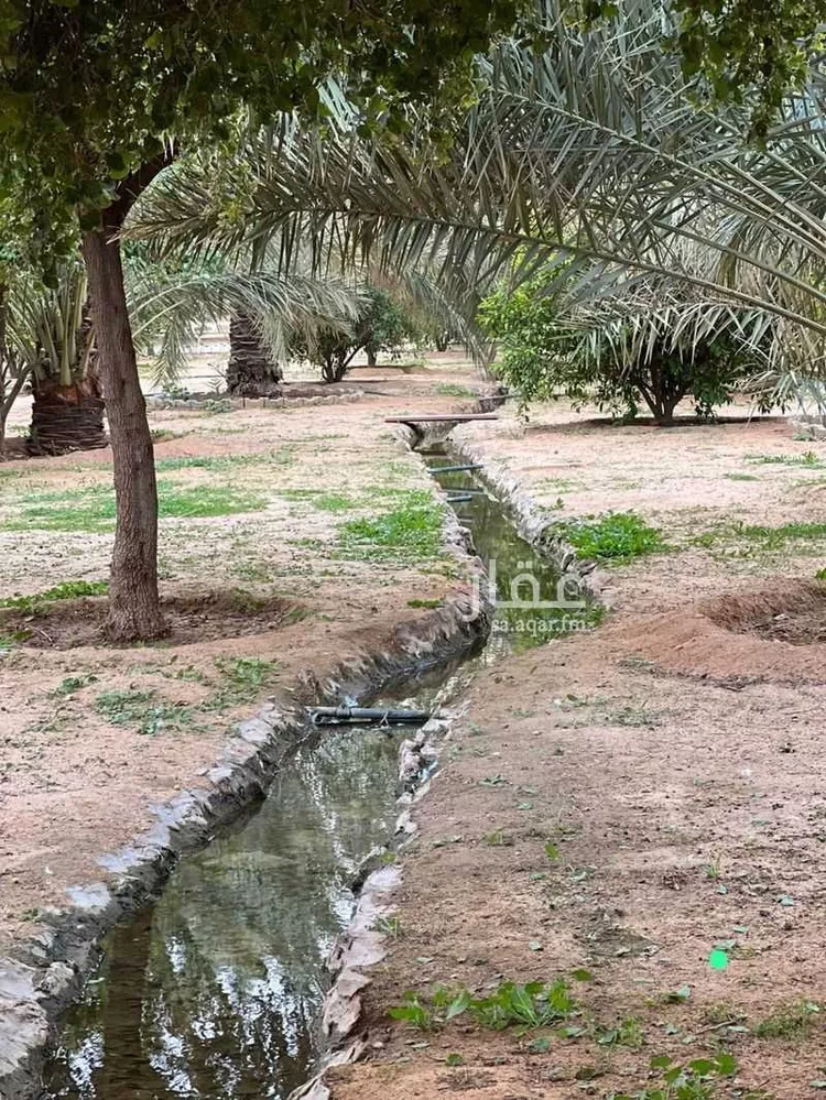 مزرعة للبيع في شارع 0000, حي الخليج, مدينة الأرطاوية, منطقة الرياض