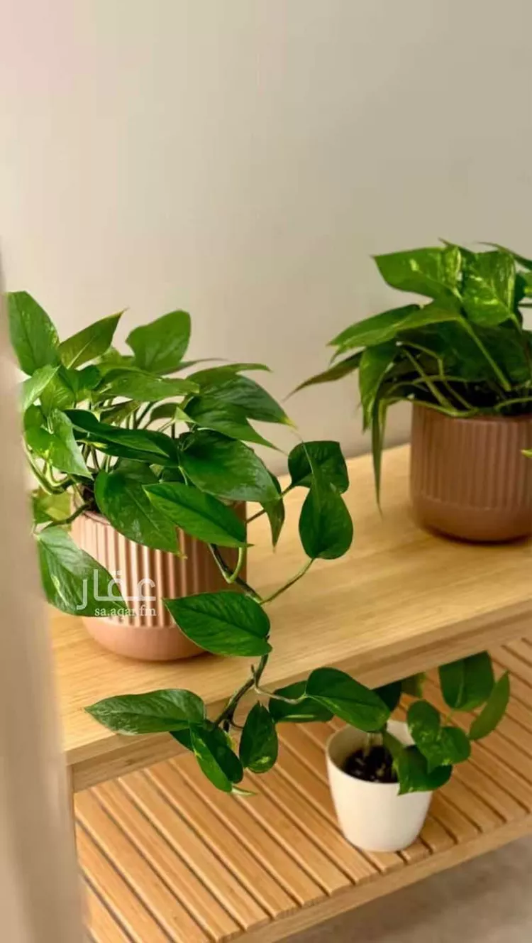 شقة مفروشة للحجز في شارع عبدالله بن إبراهيم بن سيف ، حي قرطبة ، الرياض ، منطقة الرياض صورة 3