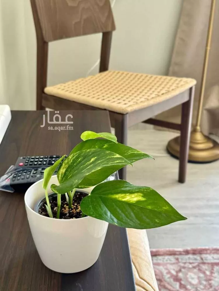 شقة مفروشة للحجز في شارع عبدالله بن إبراهيم بن سيف ، حي قرطبة ، الرياض ، منطقة الرياض 10