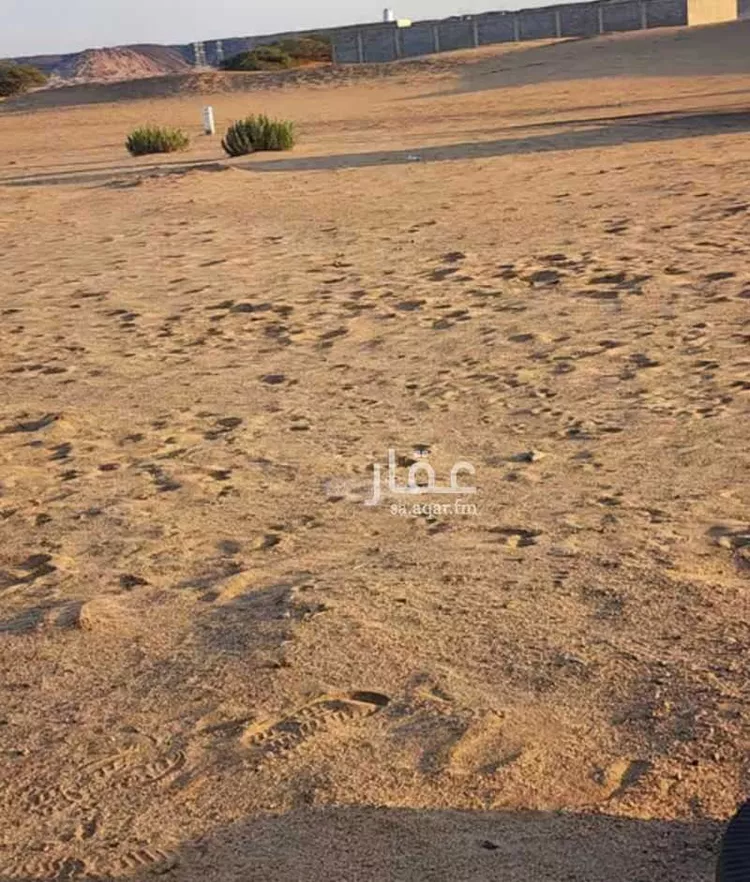 أرض للبيع في حي الوداد, مدينة جدة, منطقة مكة المكرمة