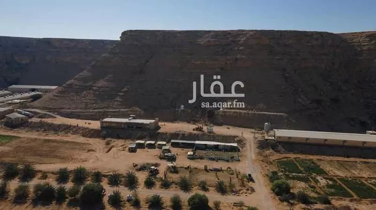مزرعة للبيع في شارع محمد بن مخلد الانصاري, حي عريض, مدينة الرياض, منطقة الرياض صورة 3