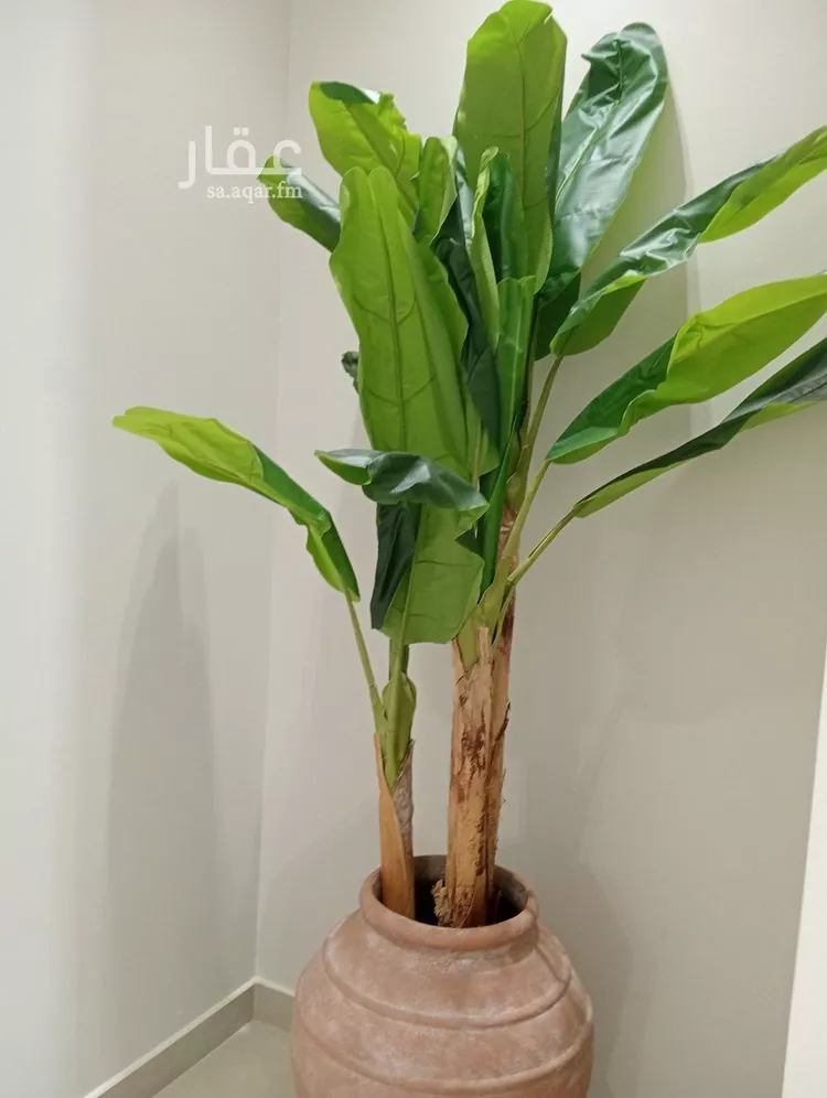 دور للبيع في شارع جبل الجزيرة, حي قرطبة, مدينة الرياض, منطقة الرياض صورة 4