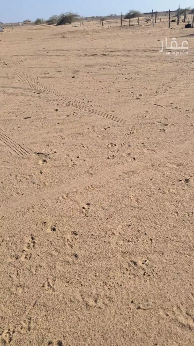 أرض للبيع في حي الجزيرة, مدينة جدة, منطقة مكة المكرمة صورة 5
