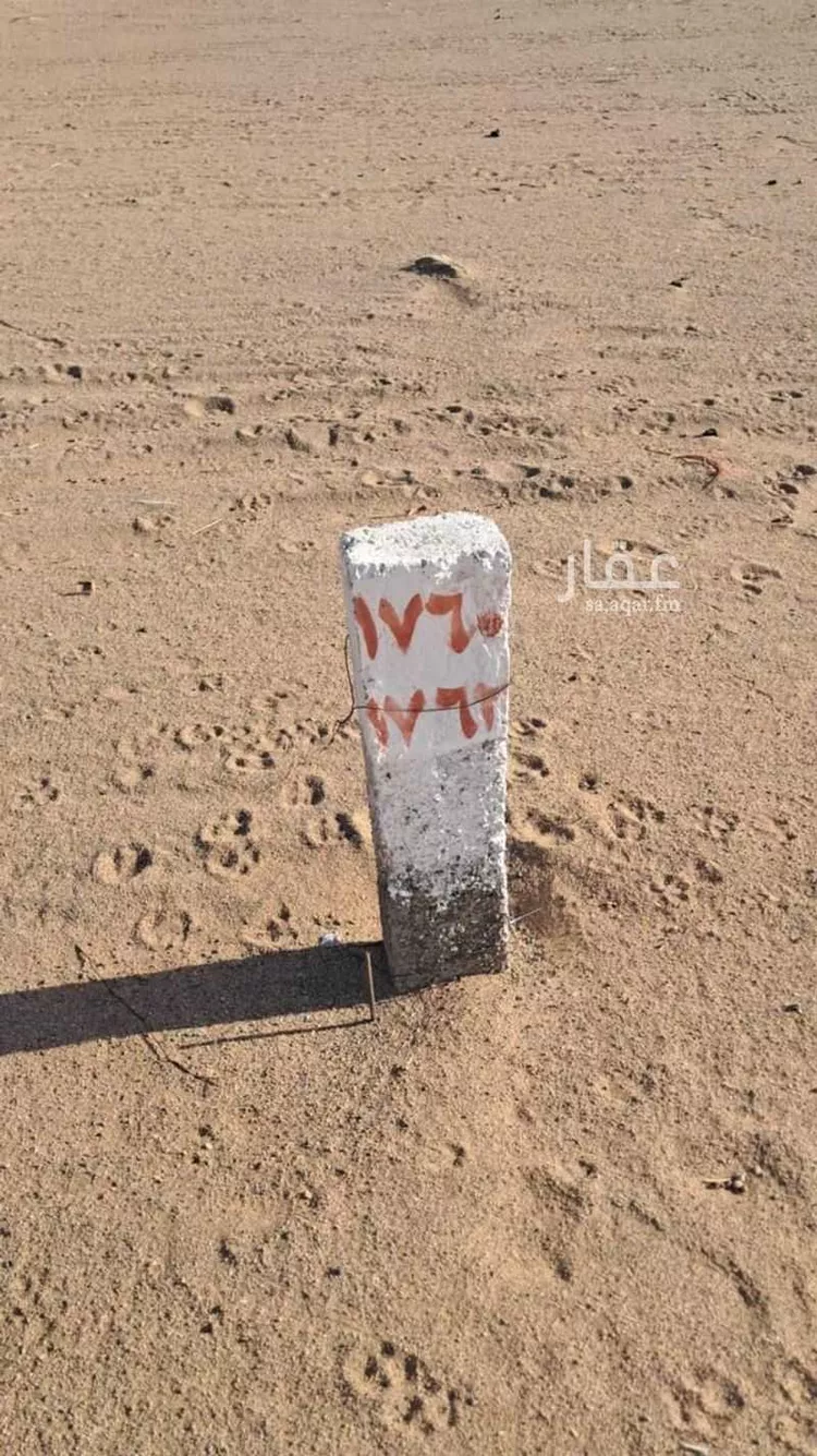 أرض للبيع في شارع الشريف أبو طالب بن حسن, حي الجزيرة, مدينة جدة, منطقة مكة المكرمة صورة 2
