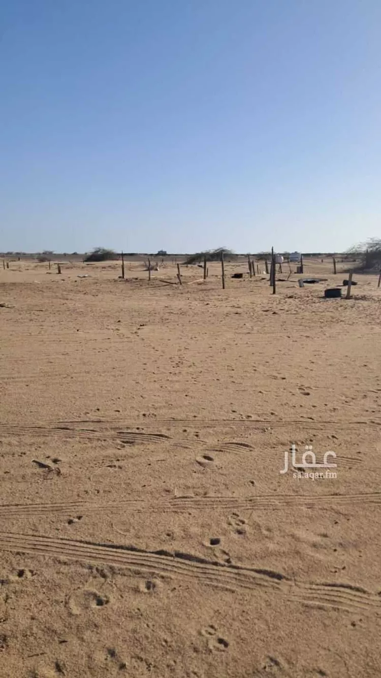 أرض للبيع في حي الجزيرة, مدينة جدة, منطقة مكة المكرمة صورة 4