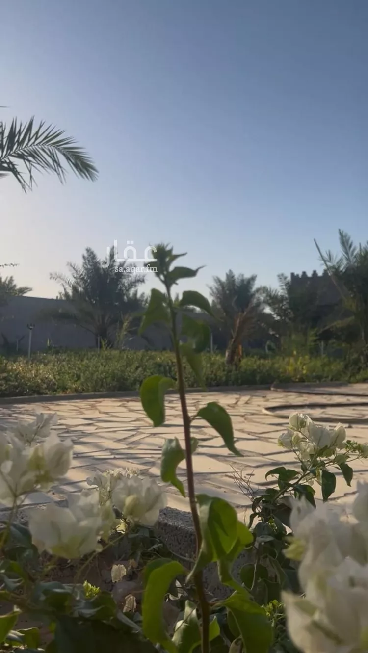 مزرعة للبيع في حي الحزم والبطينه, مدينة الحزم والبطينه, منطقة الرياض صورة 5