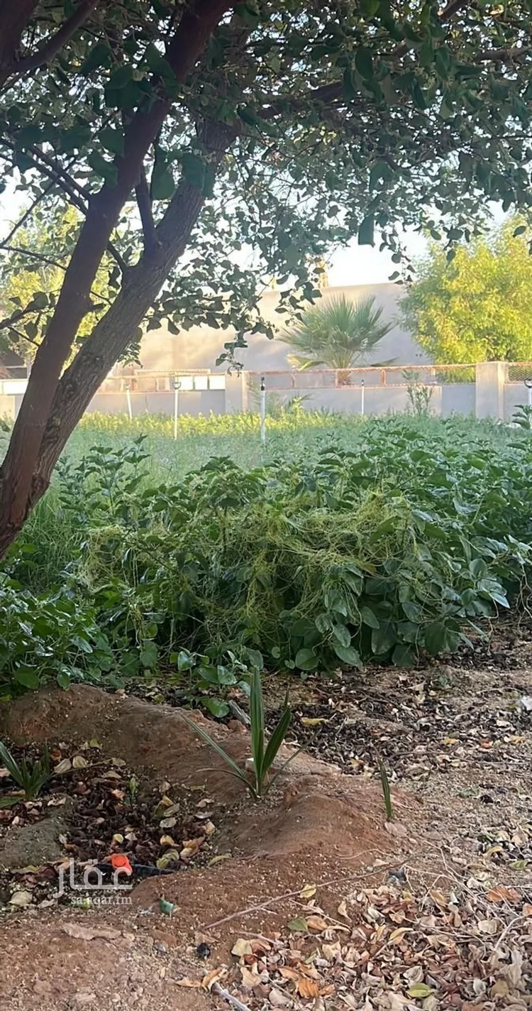 مزرعة للبيع في حي الحزم والبطينه, مدينة الحزم والبطينه, منطقة الرياض صورة 3