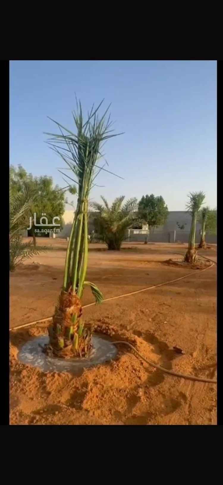 مزرعة للبيع في حي الحزم والبطينه, مدينة الحزم والبطينه, منطقة الرياض