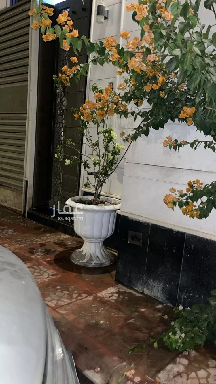 شقة للإيجار في شارع جبل بتران, حي القادسية, مدينة الرياض, منطقة الرياض