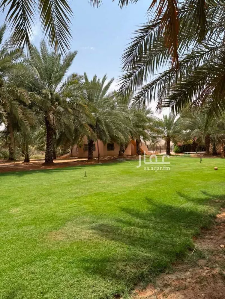 مزرعة للبيع في شارع المشاعله, حي هجره الذيبيه وخضراء, مدينة هجره الذيبيه وخضراء, منطقة الرياض 14