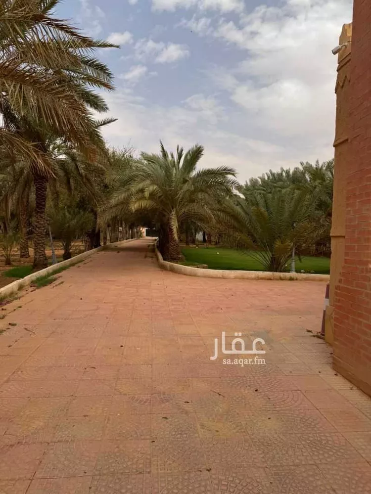 مزرعة للبيع في شارع المشاعله, حي هجره الذيبيه وخضراء, مدينة هجره الذيبيه وخضراء, منطقة الرياض 7