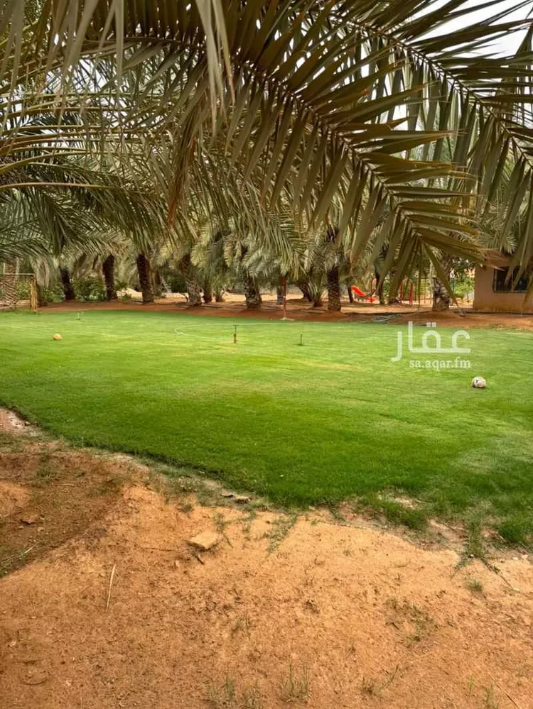 مزرعة للبيع في شارع المشاعله, حي هجره الذيبيه وخضراء, مدينة هجره الذيبيه وخضراء, منطقة الرياض 8